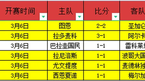 多特今夏引援核心：锁定切尔基，密切追踪尼潘动态