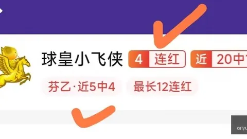 彩娱乐，综合娱乐平台， 051954